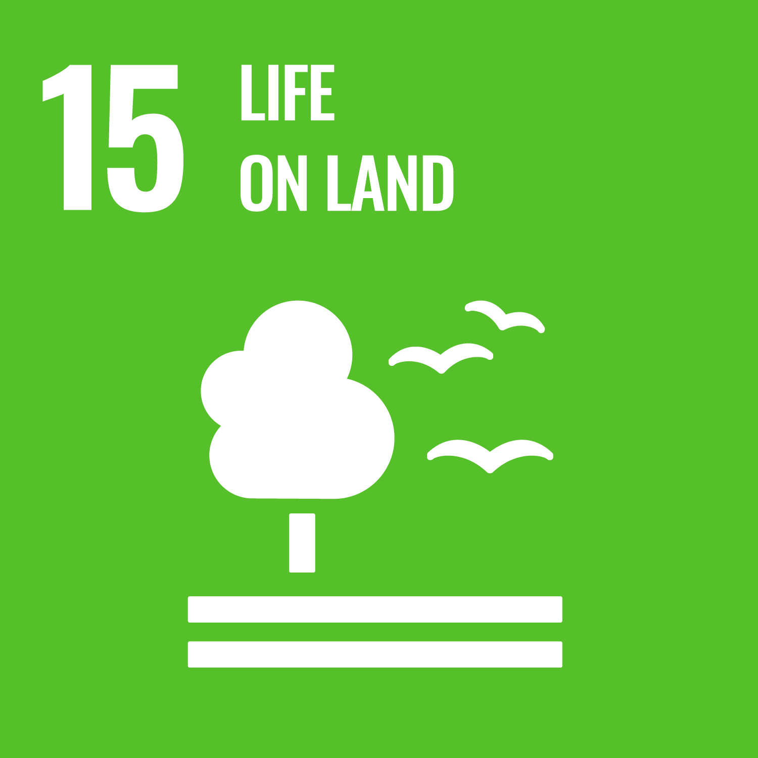 SDG 15: Жизнь на суше