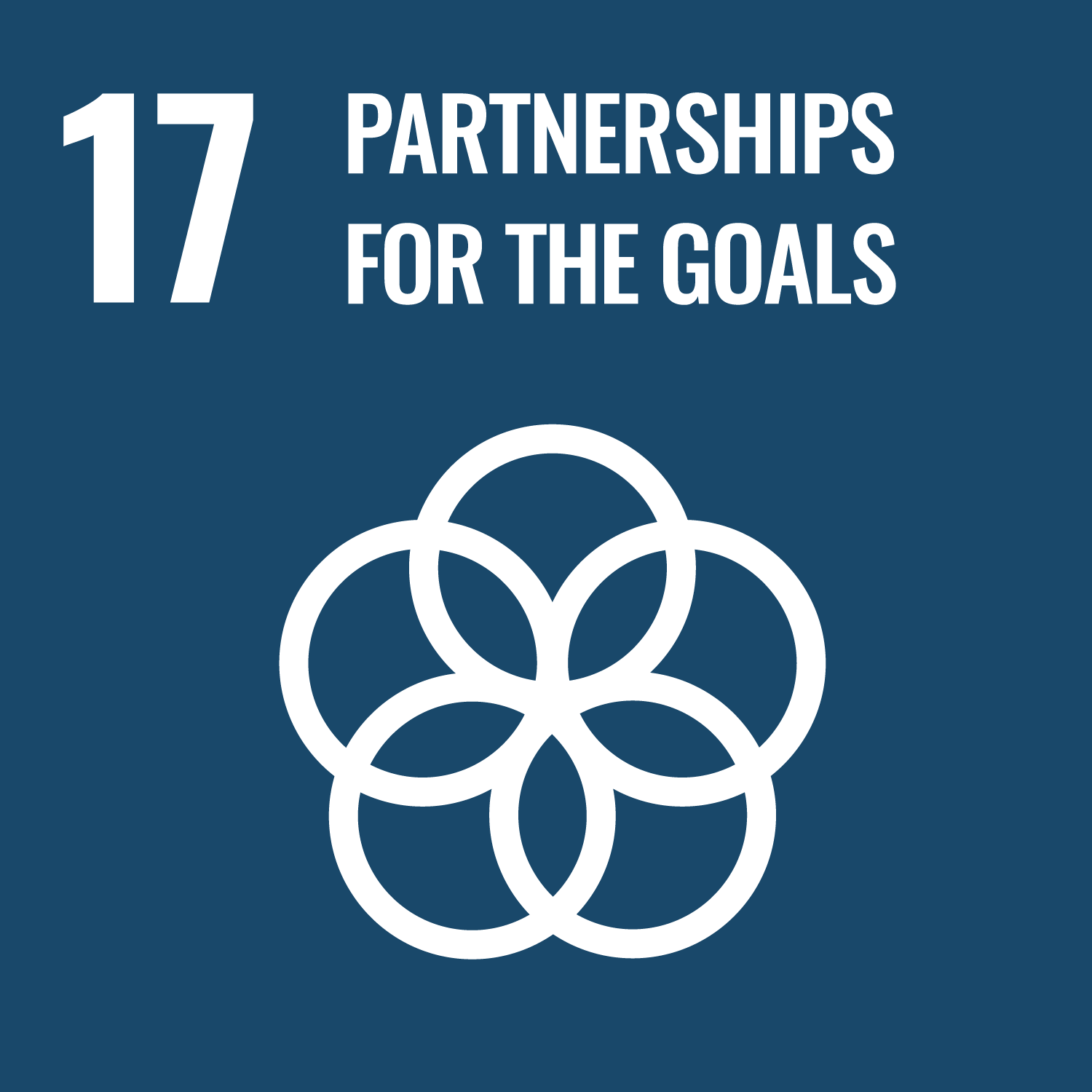 SDG 17: Партнёрство в интересах устойчивого развития