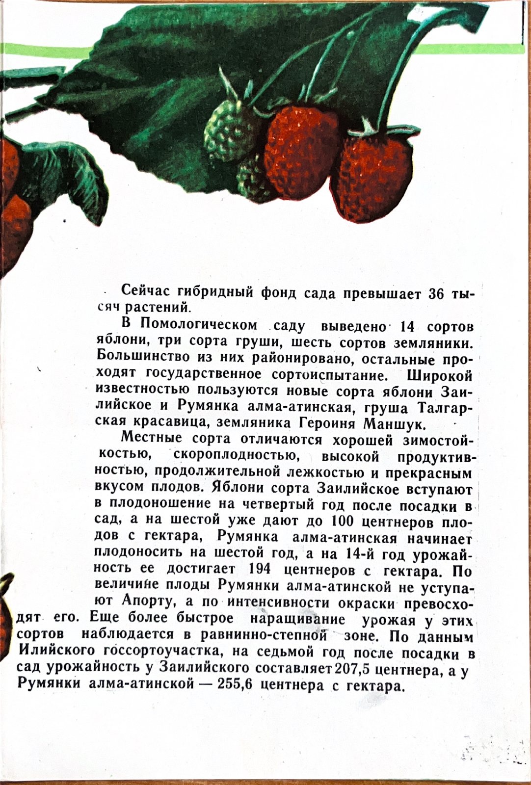 Гибридный фонд, архивная страница 1969 года